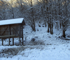 20150106_papuk_009