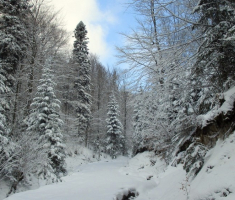 20150106_papuk_011