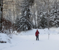 20150106_papuk_013
