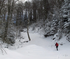 20150106_papuk_017