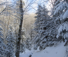 20150106_papuk_019