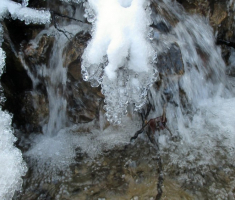20150106_papuk_020