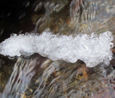 20150106_papuk_022