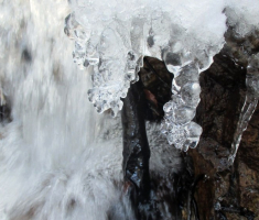 20150106_papuk_024