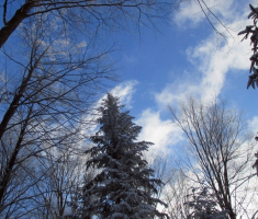 20150106_papuk_025