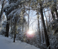 20150106_papuk_026