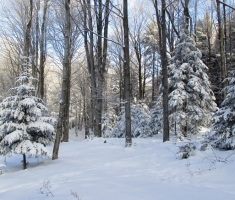 20150106_papuk_027