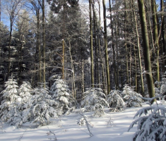 20150106_papuk_028