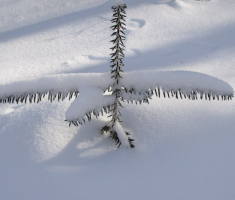 20150106_papuk_029