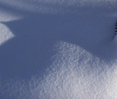 20150106_papuk_030
