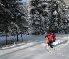 20150106_papuk_031