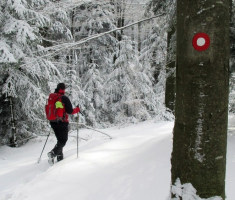 20150106_papuk_035