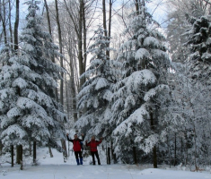 20150106_papuk_036