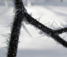 20150106_papuk_037