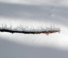 20150106_papuk_038