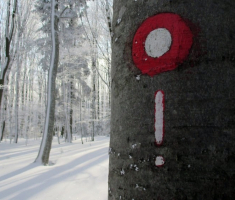 20150106_papuk_040
