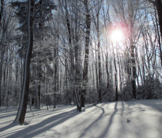 20150106_papuk_041