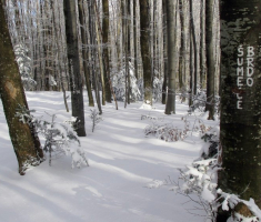 20150106_papuk_043