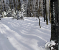 20150106_papuk_044