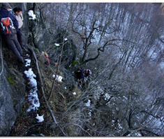ispo_0012a