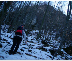 ispo_003