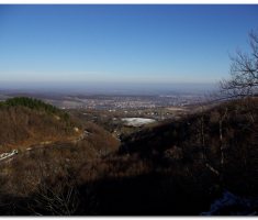 ispo_020a