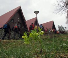 20160306_papuk_007