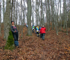 20160306_papuk_035