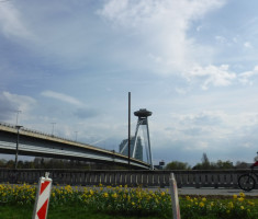 20250406_bratislava_marathon_043