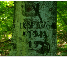 papuk_0605_00004