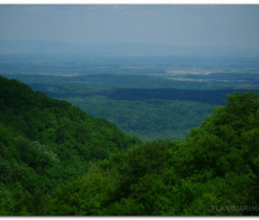papuk_0605_00018
