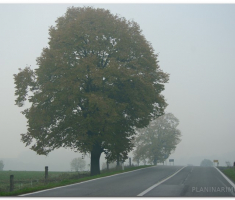 martinje_00002