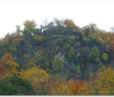 martinje_00003
