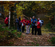 martinje_00037