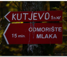 martinje_00039