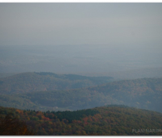 martinje_00040