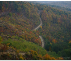martinje_00051