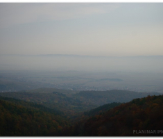 martinje_00052