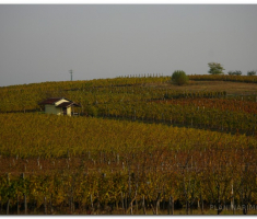 martinje_00054