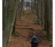 Točak