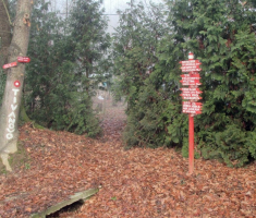 20151206_krndija_003