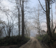 20151206_krndija_017