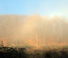 20151206_krndija_018