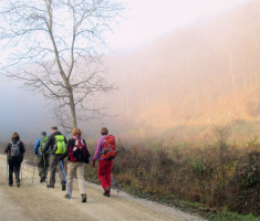 20151206_krndija_019