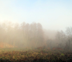 20151206_krndija_020