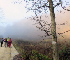20151206_krndija_021