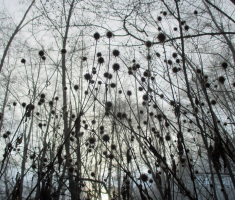 20151206_krndija_023