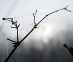 20151206_krndija_027
