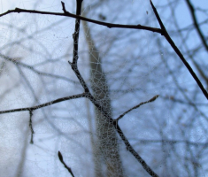 20151206_krndija_036