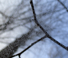 20151206_krndija_039